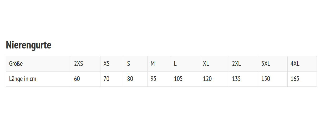 BseTaslanNierengurtAnthrazit